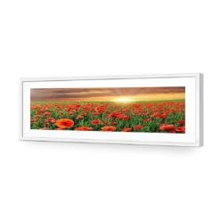 Anzac Poppy Field (long) 11 Anzac Poppy Field (long) -WALL ART DESGIN SALE anzac poppy field long acrylic glass with border white frame 90x30cm 678015