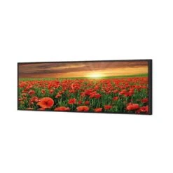 Anzac Poppy Field (long) 4 Anzac Poppy Field (long) -WALL ART DESGIN SALE anzac poppy field long canvas black floating frame 60x20cm 991208
