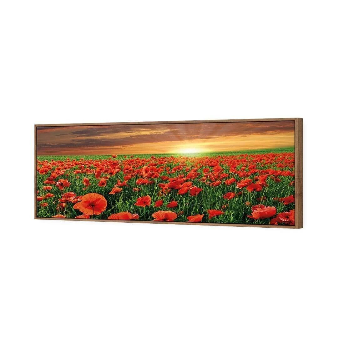 Anzac Poppy Field (long) Anzac Poppy Field (long) -WALL ART DESGIN SALE anzac poppy field long canvas natural floating frame 60x20cm 863848