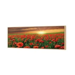 Anzac Poppy Field (long) 6 Anzac Poppy Field (long) -WALL ART DESGIN SALE anzac poppy field long canvas oak floating frame 60x20cm 150652