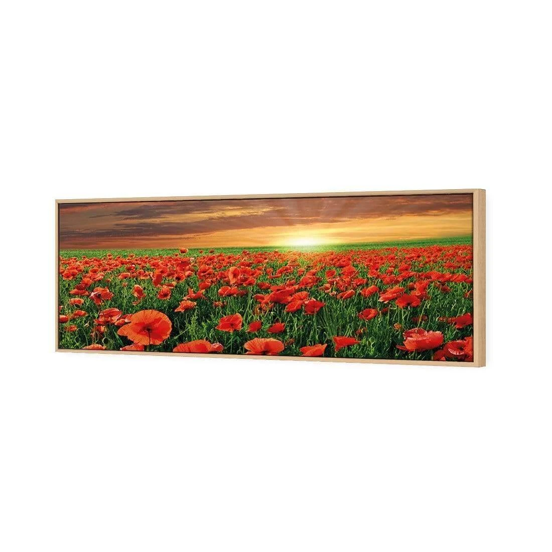 Anzac Poppy Field (long) Anzac Poppy Field (long) -WALL ART DESGIN SALE anzac poppy field long canvas oak floating frame 60x20cm 150652