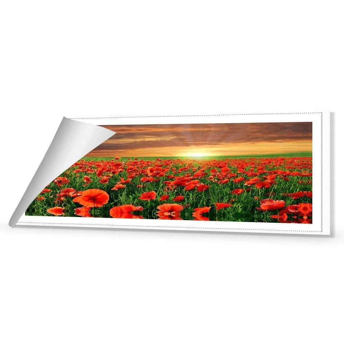 Anzac Poppy Field (long) Anzac Poppy Field (long) -WALL ART DESGIN SALE anzac poppy field long canvas rolled canvas 60x20cm 993731