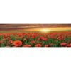 Anzac Poppy Field (long) 2 Anzac Poppy Field (long) -WALL ART DESGIN SALE anzac poppy field long canvas stretched canvas 60x20cm 787203