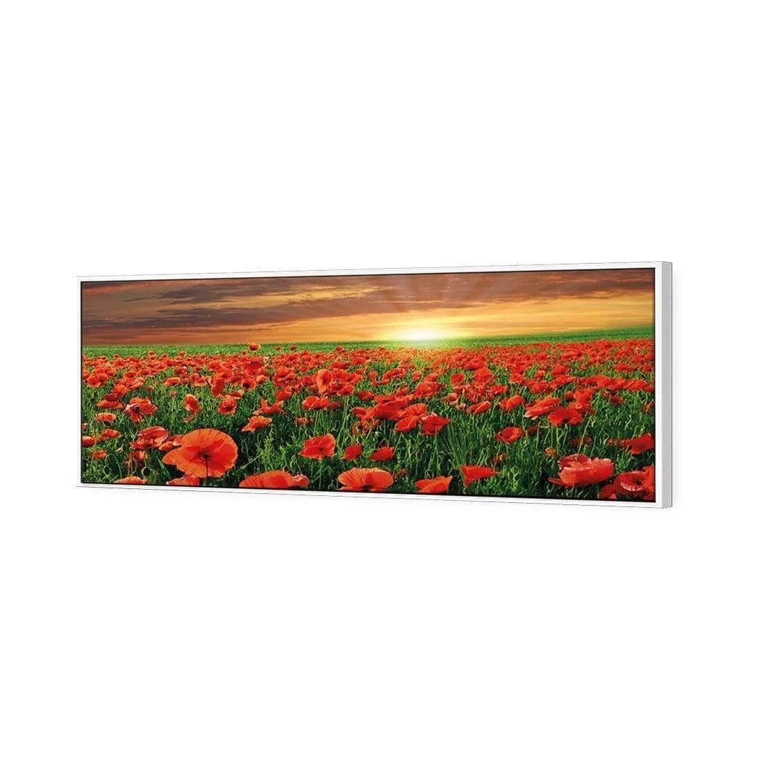 Anzac Poppy Field (long) Anzac Poppy Field (long) -WALL ART DESGIN SALE anzac poppy field long canvas white floating frame 60x20cm 430371