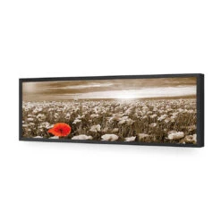 Anzac Poppy Field, Sepia (long) -WALL ART DESGIN SALE anzac poppy field sepia long acrylic glass no border black frame 90x30cm 322174