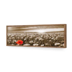 Anzac Poppy Field, Sepia (long) -WALL ART DESGIN SALE anzac poppy field sepia long acrylic glass no border natural frame 90x30cm 700104