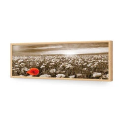 Anzac Poppy Field, Sepia (long) -WALL ART DESGIN SALE anzac poppy field sepia long acrylic glass no border oak frame 90x30cm 470012
