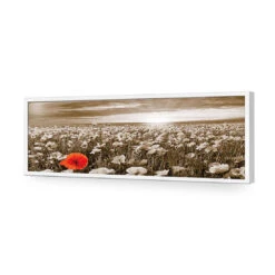 Anzac Poppy Field, Sepia (long) -WALL ART DESGIN SALE anzac poppy field sepia long acrylic glass no border white frame 90x30cm 283306