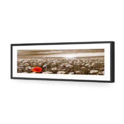 Anzac Poppy Field, Sepia (long) -WALL ART DESGIN SALE anzac poppy field sepia long acrylic glass with border black frame 90x30cm 202619