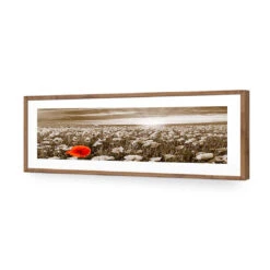 Anzac Poppy Field, Sepia (long) -WALL ART DESGIN SALE anzac poppy field sepia long acrylic glass with border natural frame 90x30cm 560281