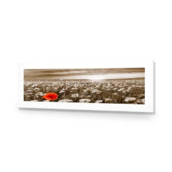 Anzac Poppy Field, Sepia (long) -WALL ART DESGIN SALE anzac poppy field sepia long acrylic glass with border no frame 90x30cm 702594