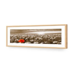 Anzac Poppy Field, Sepia (long) -WALL ART DESGIN SALE anzac poppy field sepia long acrylic glass with border oak frame 90x30cm 770290