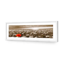 Anzac Poppy Field, Sepia (long) -WALL ART DESGIN SALE anzac poppy field sepia long acrylic glass with border white frame 90x30cm 963879