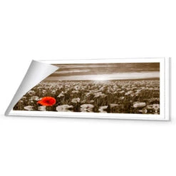 Anzac Poppy Field, Sepia (long) -WALL ART DESGIN SALE anzac poppy field sepia long canvas rolled canvas 60x20cm 595485
