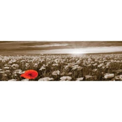 Anzac Poppy Field, Sepia (long)