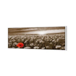 Anzac Poppy Field, Sepia (long) -WALL ART DESGIN SALE anzac poppy field sepia long canvas white floating frame 60x20cm 106542