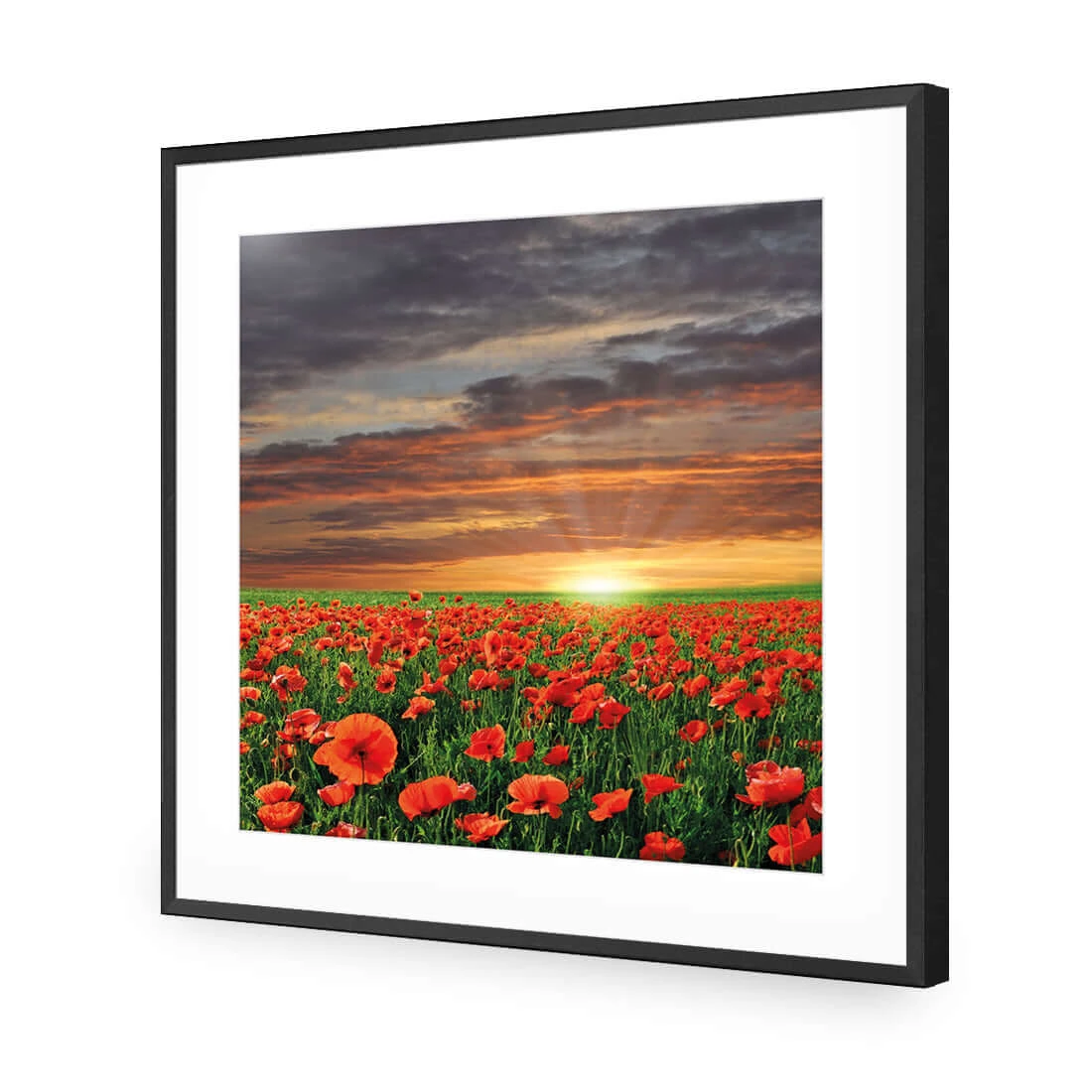 Anzac Poppy Field (square) Anzac Poppy Field (square) -WALL ART DESGIN SALE anzac poppy field square acrylic glass with border black frame 37x37cm 876736