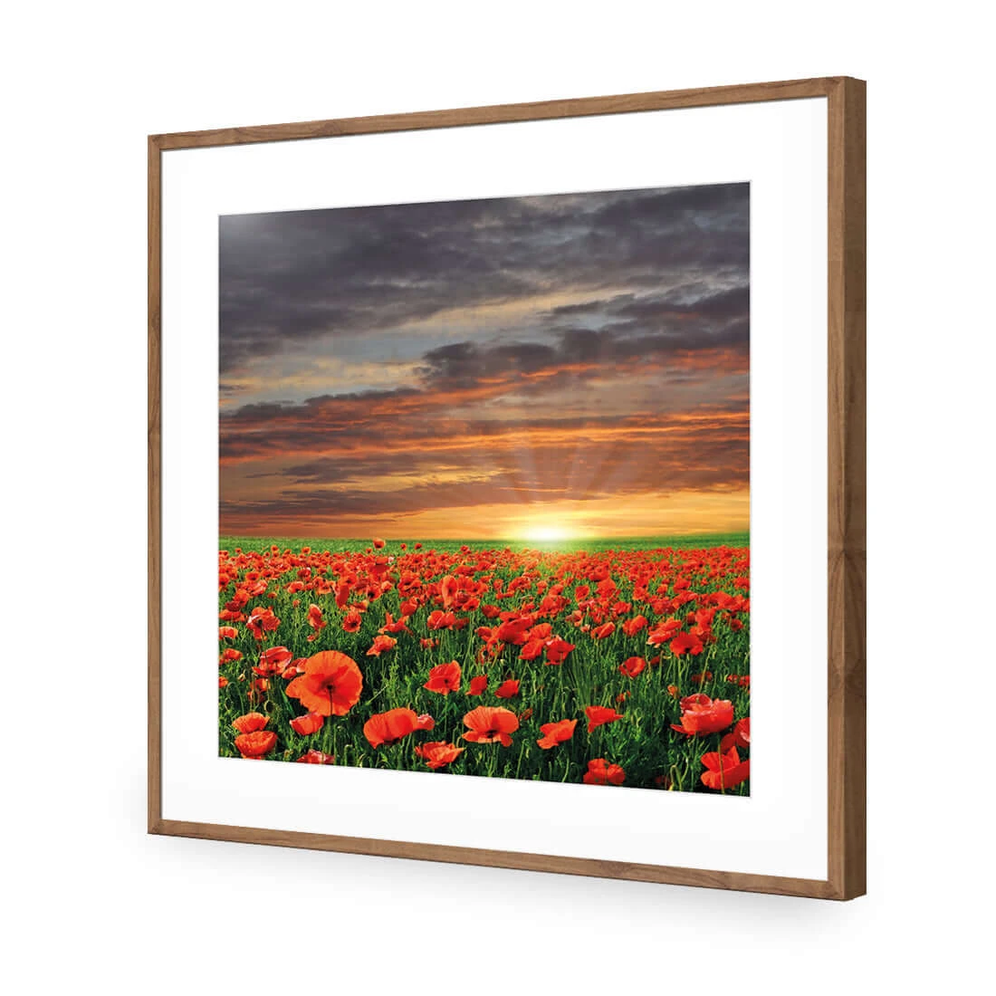 Anzac Poppy Field (square) Anzac Poppy Field (square) -WALL ART DESGIN SALE anzac poppy field square acrylic glass with border natural frame 37x37cm 680630