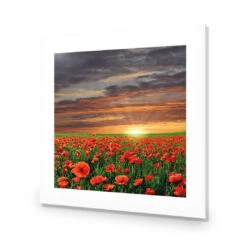 Anzac Poppy Field (square) 9 Anzac Poppy Field (square) -WALL ART DESGIN SALE anzac poppy field square acrylic glass with border no frame 37x37cm 407053