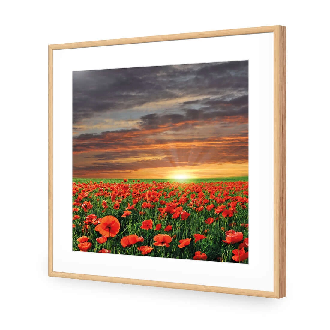 Anzac Poppy Field (square) Anzac Poppy Field (square) -WALL ART DESGIN SALE anzac poppy field square acrylic glass with border oak frame 37x37cm 547184