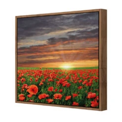 Anzac Poppy Field (square) 7 Anzac Poppy Field (square) -WALL ART DESGIN SALE anzac poppy field square canvas natural floating frame 37x37cm 195015
