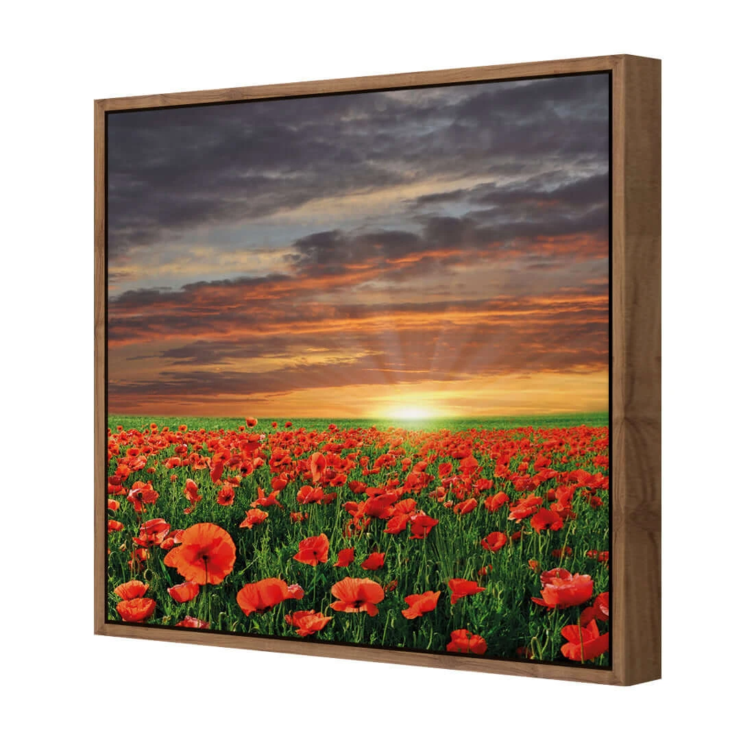Anzac Poppy Field (square) Anzac Poppy Field (square) -WALL ART DESGIN SALE anzac poppy field square canvas natural floating frame 37x37cm 195015