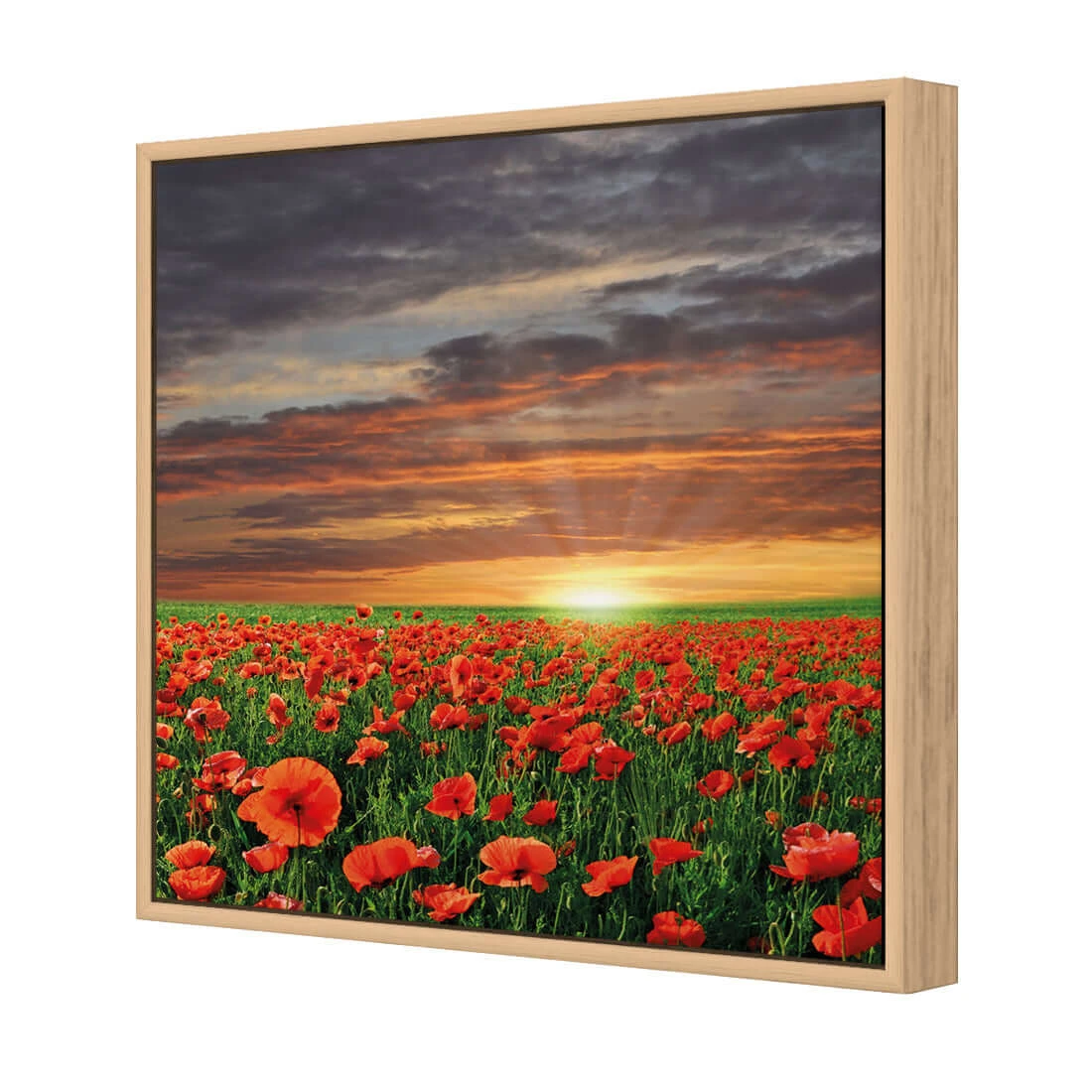 Anzac Poppy Field (square) Anzac Poppy Field (square) -WALL ART DESGIN SALE anzac poppy field square canvas oak floating frame 37x37cm 154089