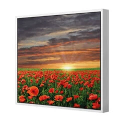 Anzac Poppy Field (square) 5 Anzac Poppy Field (square) -WALL ART DESGIN SALE anzac poppy field square canvas white floating frame 37x37cm 565398