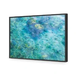 Aqua School -WALL ART DESGIN SALE aqua school acrylic glass no border black frame 45x30cm 505445