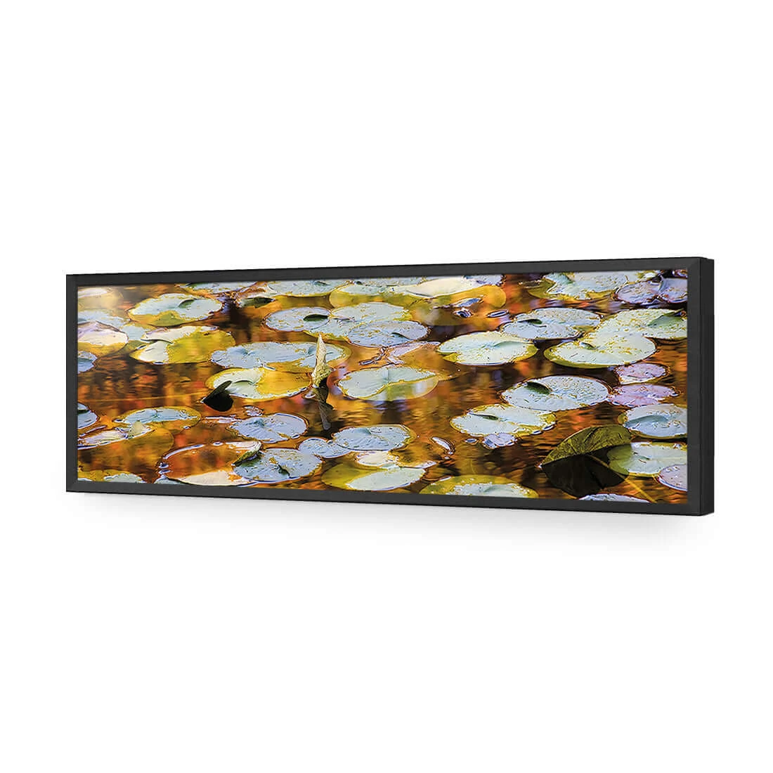 Autumn Lilypads (Long) Autumn Lilypads (Long) -WALL ART DESGIN SALE autumn lilypads long acrylic glass no border black frame 90x30cm 138085