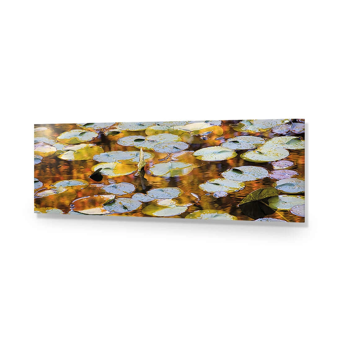 Autumn Lilypads (Long) Autumn Lilypads (Long) -WALL ART DESGIN SALE autumn lilypads long acrylic glass no border no frame 90x30cm 789767
