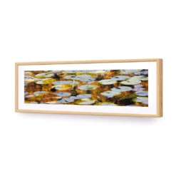 Autumn Lilypads (Long) 13 Autumn Lilypads (Long) -WALL ART DESGIN SALE autumn lilypads long acrylic glass with border oak frame 90x30cm 897195