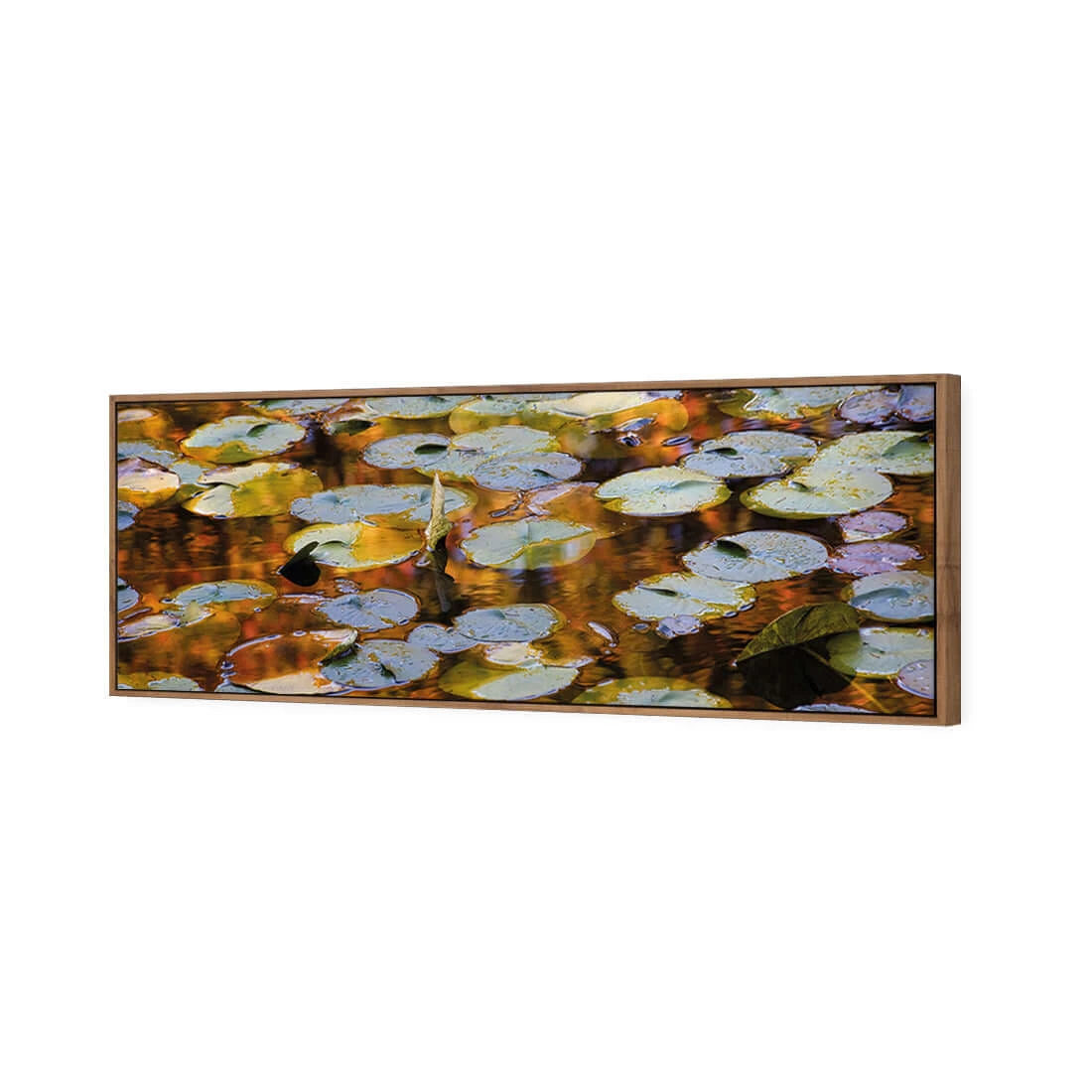 Autumn Lilypads (Long) Autumn Lilypads (Long) -WALL ART DESGIN SALE autumn lilypads long canvas natural floating frame 60x20cm 768765