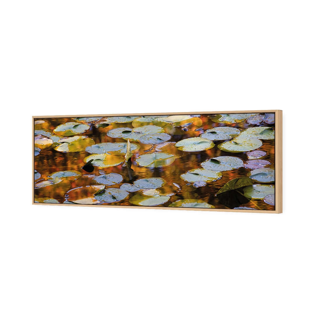 Autumn Lilypads (Long) Autumn Lilypads (Long) -WALL ART DESGIN SALE autumn lilypads long canvas oak floating frame 60x20cm 897878