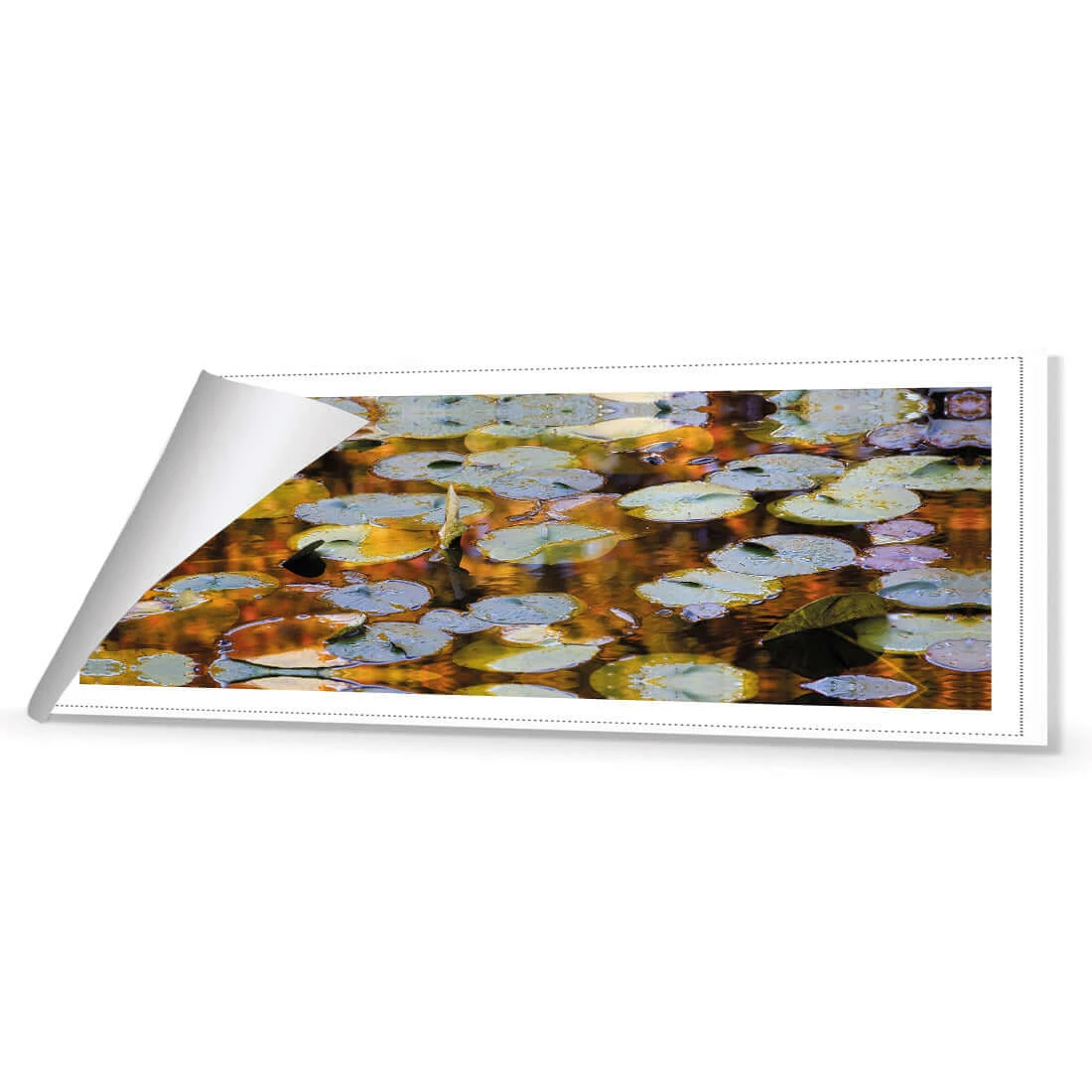 Autumn Lilypads (Long) Autumn Lilypads (Long) -WALL ART DESGIN SALE autumn lilypads long canvas rolled canvas 60x20cm 448424