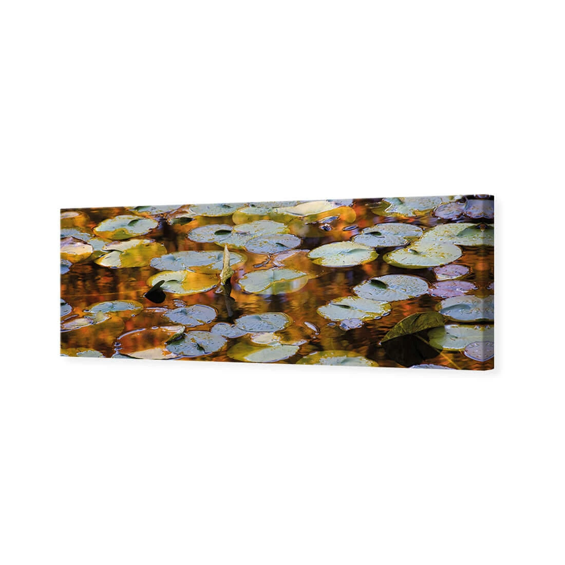 Autumn Lilypads (Long) Autumn Lilypads (Long) -WALL ART DESGIN SALE autumn lilypads long canvas stretched canvas 60x20cm 578984