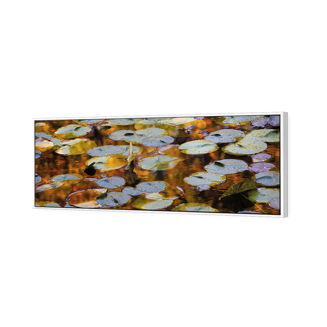 Autumn Lilypads (Long) Autumn Lilypads (Long) -WALL ART DESGIN SALE autumn lilypads long canvas white floating frame 60x20cm 592813