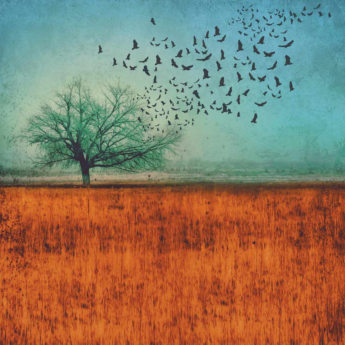 Autumn Migration Canvas Art Autumn Migration Canvas Art -WALL ART DESGIN SALE autumn migration canvas art 30x30cm no frame 573998