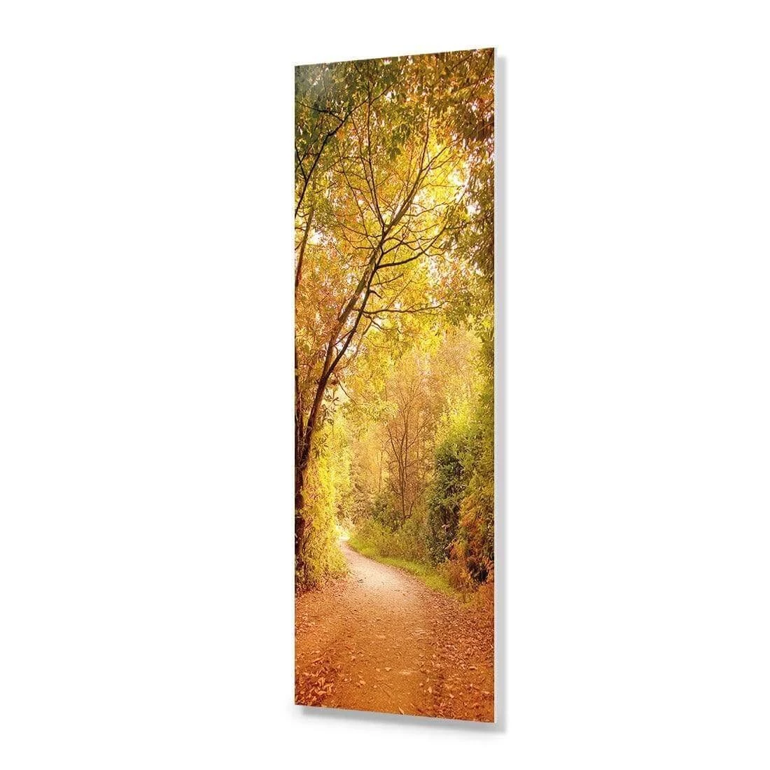 Autumn Pathway (Long) Autumn Pathway (Long) -WALL ART DESGIN SALE autumn pathway long acrylic glass no border no frame 90x30cm 428679