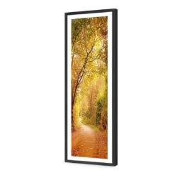 Autumn Pathway (Long) 10 Autumn Pathway (Long) -WALL ART DESGIN SALE autumn pathway long acrylic glass with border black frame 90x30cm 267224