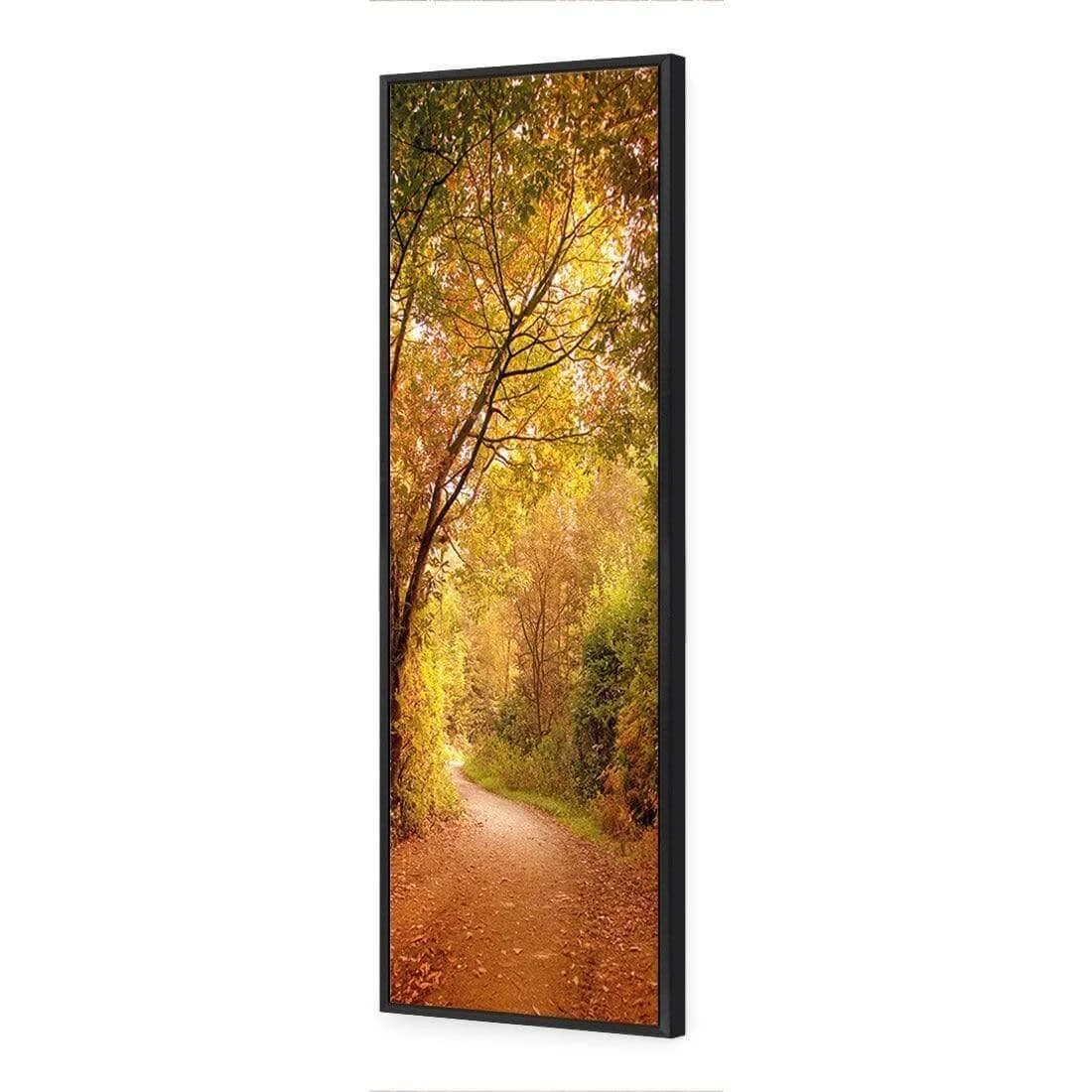Autumn Pathway (Long) Autumn Pathway (Long) -WALL ART DESGIN SALE autumn pathway long canvas black floating frame 60x20cm 619241