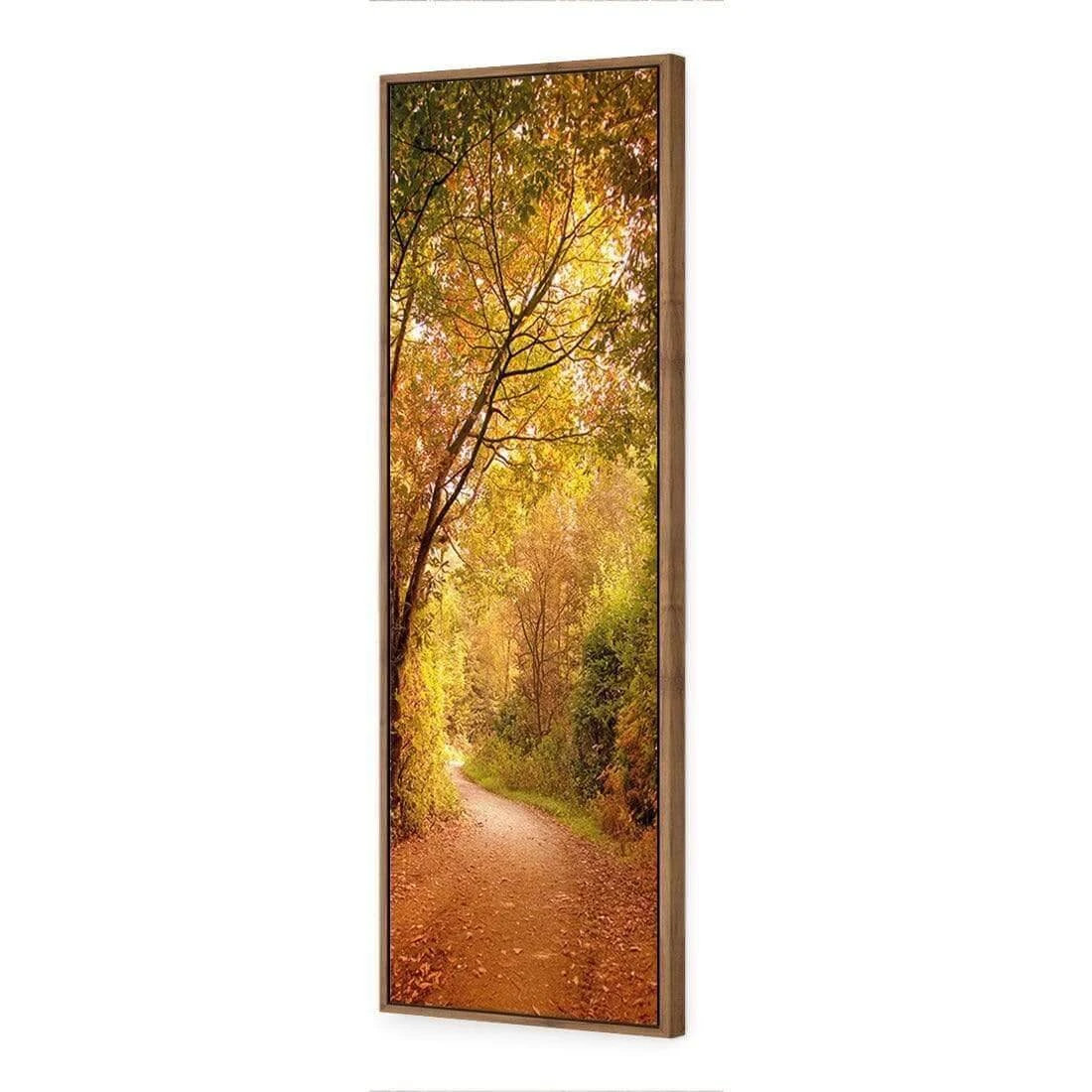 Autumn Pathway (Long) Autumn Pathway (Long) -WALL ART DESGIN SALE autumn pathway long canvas natural floating frame 60x20cm 250993
