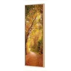 Autumn Pathway (Long) 6 Autumn Pathway (Long) -WALL ART DESGIN SALE autumn pathway long canvas oak floating frame 60x20cm 955730
