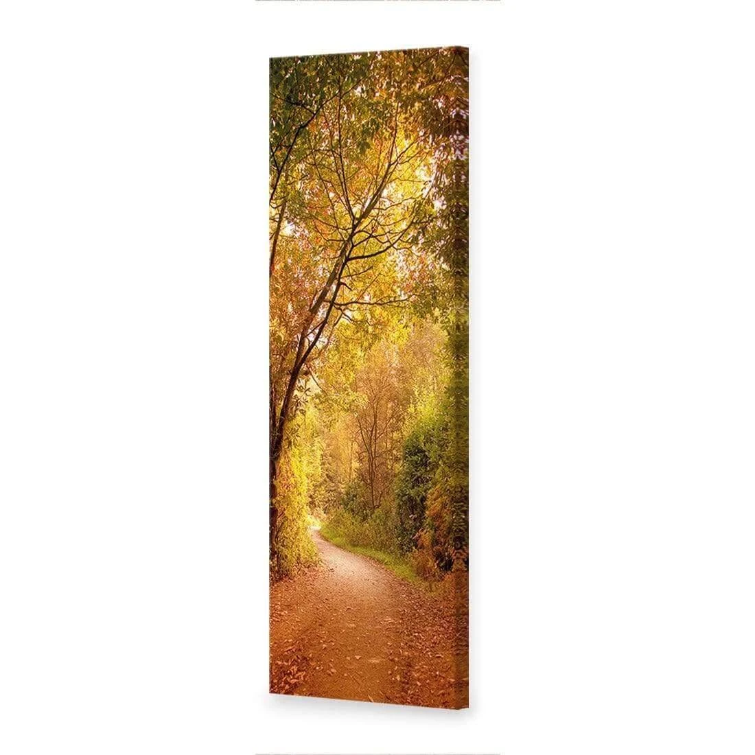 Autumn Pathway (Long) Autumn Pathway (Long) -WALL ART DESGIN SALE autumn pathway long canvas stretched canvas 60x20cm 699330
