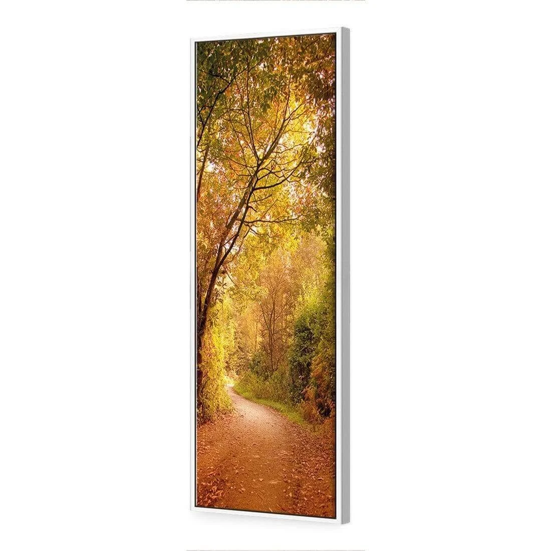Autumn Pathway (Long) Autumn Pathway (Long) -WALL ART DESGIN SALE autumn pathway long canvas white floating frame 60x20cm 895478