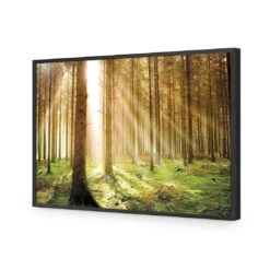 Autumn Pine Forest 15 Autumn Pine Forest -WALL ART DESGIN SALE autumn pine forest acrylic glass no border black frame 45x30cm 696718