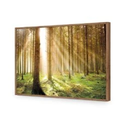 Autumn Pine Forest 18 Autumn Pine Forest -WALL ART DESGIN SALE autumn pine forest acrylic glass no border natural frame 45x30cm 779862