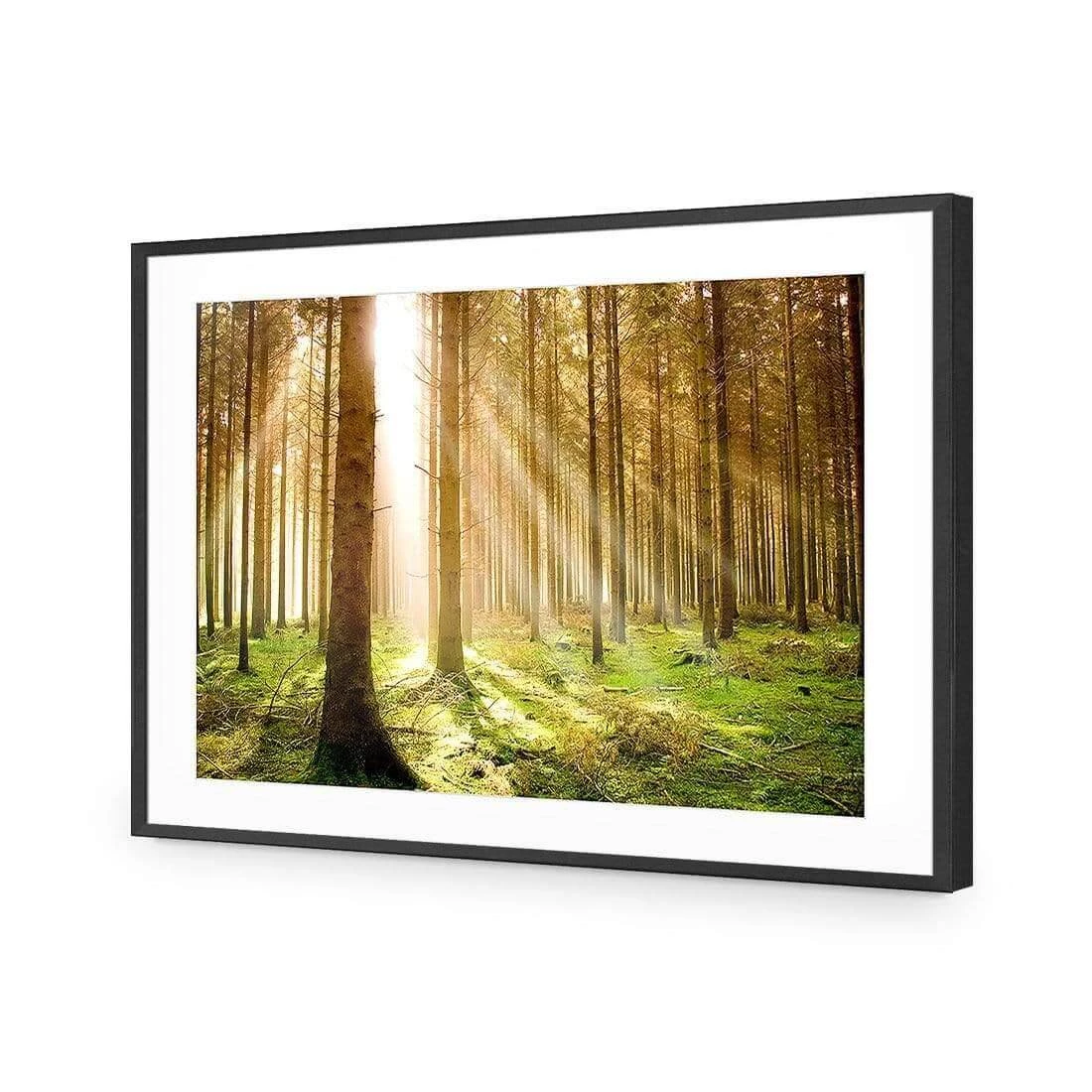 Autumn Pine Forest Autumn Pine Forest -WALL ART DESGIN SALE autumn pine forest acrylic glass with border black frame 45x30cm 754818