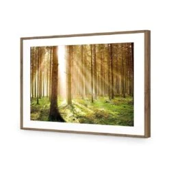 Autumn Pine Forest 13 Autumn Pine Forest -WALL ART DESGIN SALE autumn pine forest acrylic glass with border natural frame 45x30cm 639750