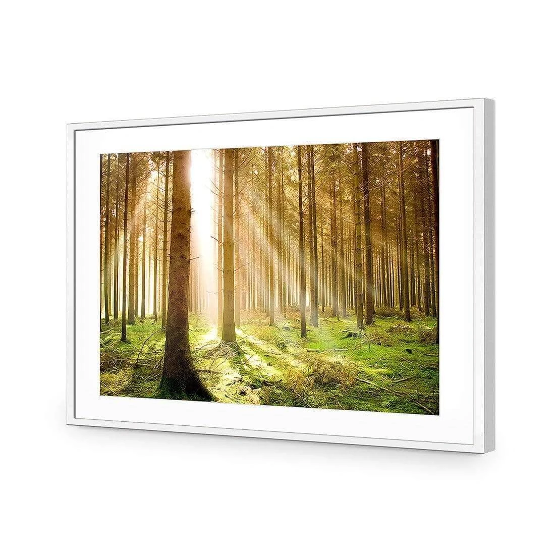 Autumn Pine Forest Autumn Pine Forest -WALL ART DESGIN SALE autumn pine forest acrylic glass with border white frame 45x30cm 151042